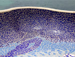 gaudi